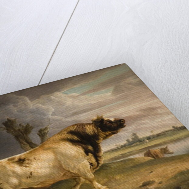 A Prize Bull by Edmund Bristow