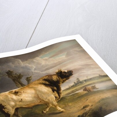 A Prize Bull by Edmund Bristow