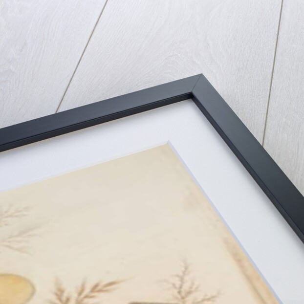 Study of Sea Shells, 1876 by Joseph Smith