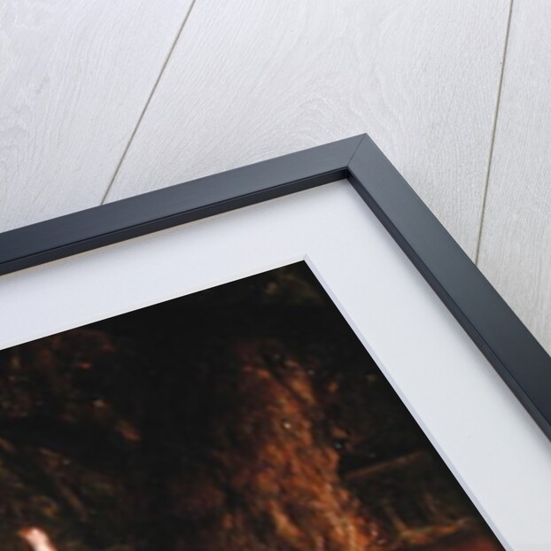 The Swing, 1853 by Frederick Goodall