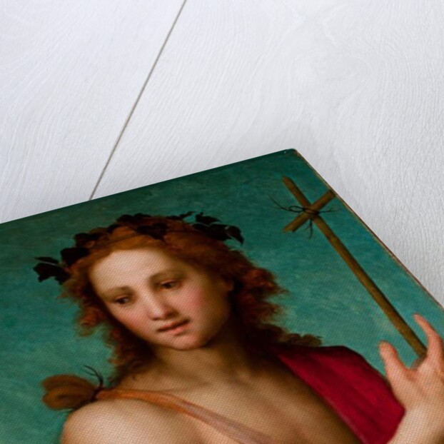 St. John the Baptist, c.1517 by Andrea del Sarto