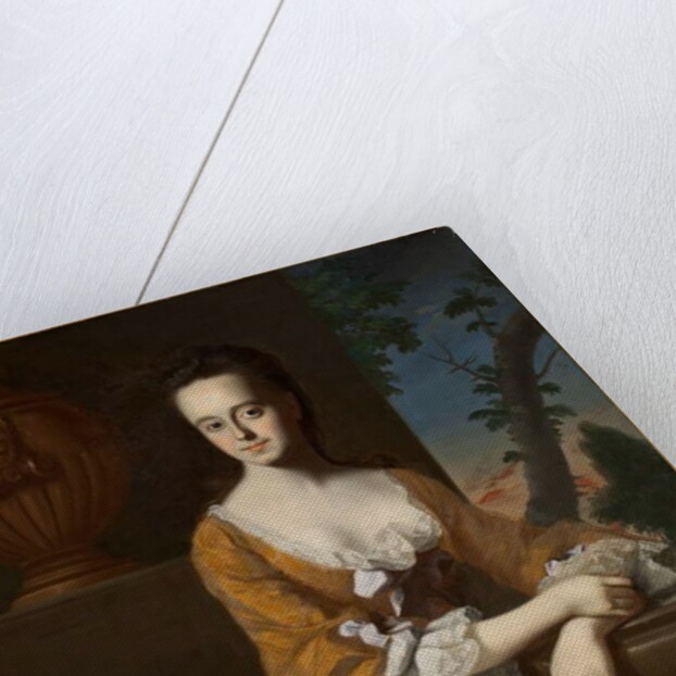 Mrs John Murray, 1763 by John Singleton Copley