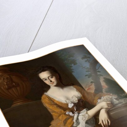 Mrs John Murray, 1763 by John Singleton Copley