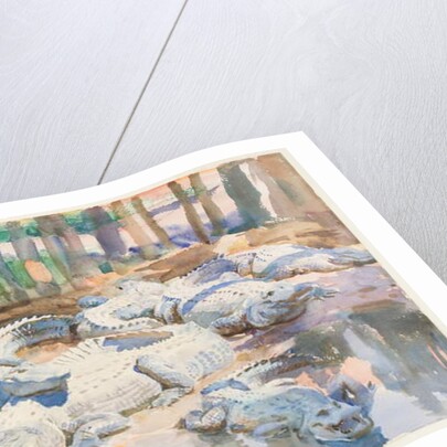 Muddy Alligators, 1917 by John Singer Sargent