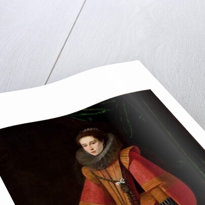 Portrait of a Young Noblewoman by School Spanish