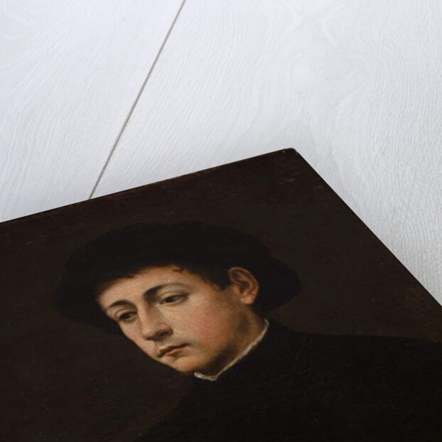 Portrait of a Musician by Giulio Campi