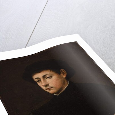 Portrait of a Musician by Giulio Campi