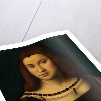 Portrait of a Lady by School Italian