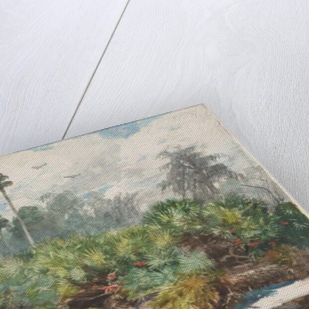 In a Florida Jungle by Winslow Homer