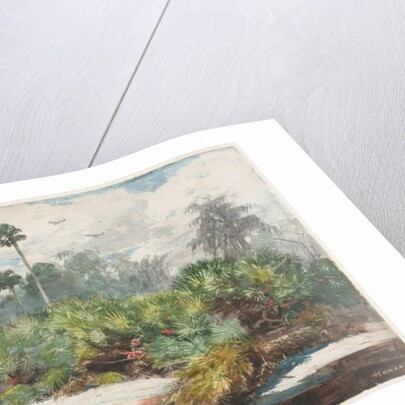 In a Florida Jungle by Winslow Homer