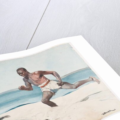 Rum Cay by Winslow Homer