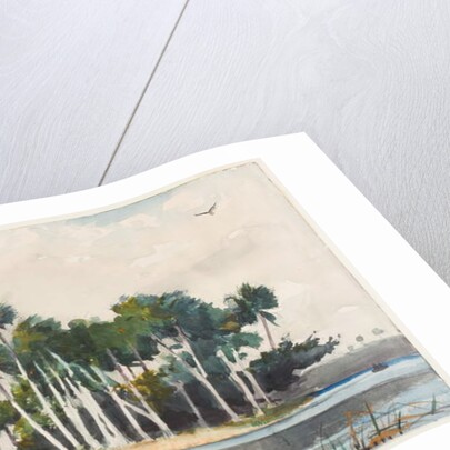 The Turkey Buzzard by Winslow Homer