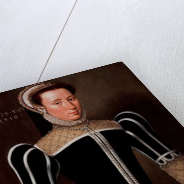 Portrait of a Woman, 1556 by Flemish School