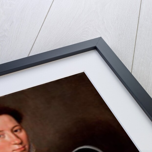 Portrait of a Woman, 1556 by Flemish School