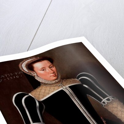 Portrait of a Woman, 1556 by Flemish School