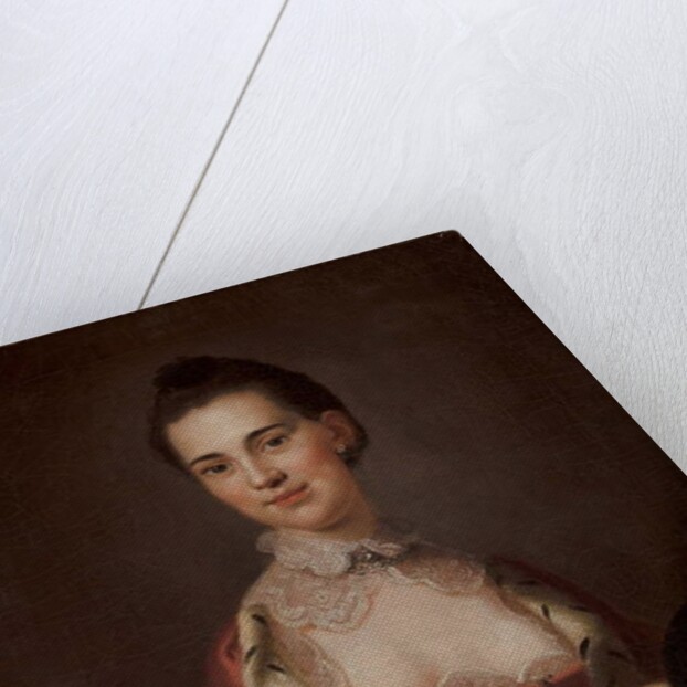 Portrait of Anne Gibbes, Mrs Edward Thomas, 1767 by John Wollaston