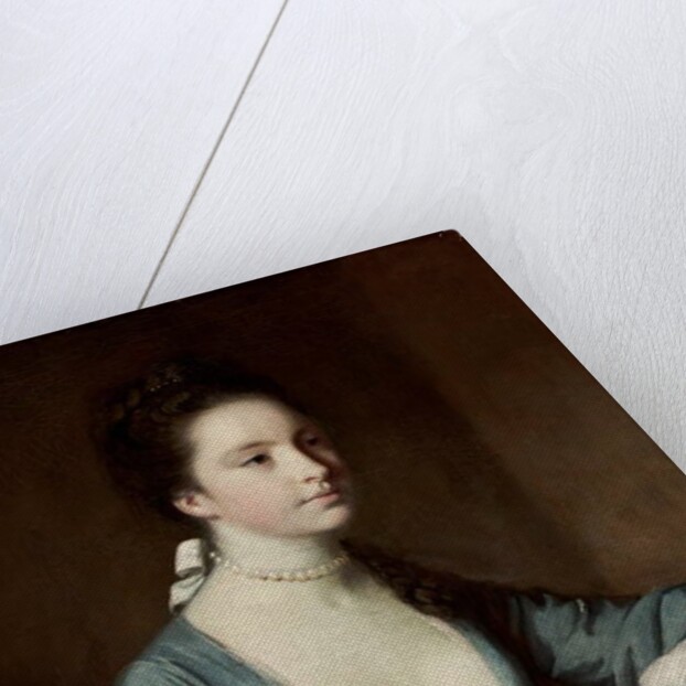 Isabella Carr Countess of Erroll by Joshua Reynolds