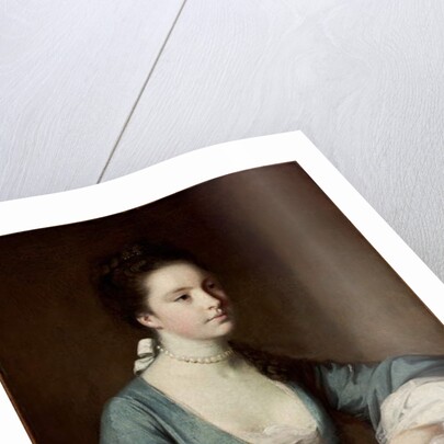 Isabella Carr Countess of Erroll by Joshua Reynolds