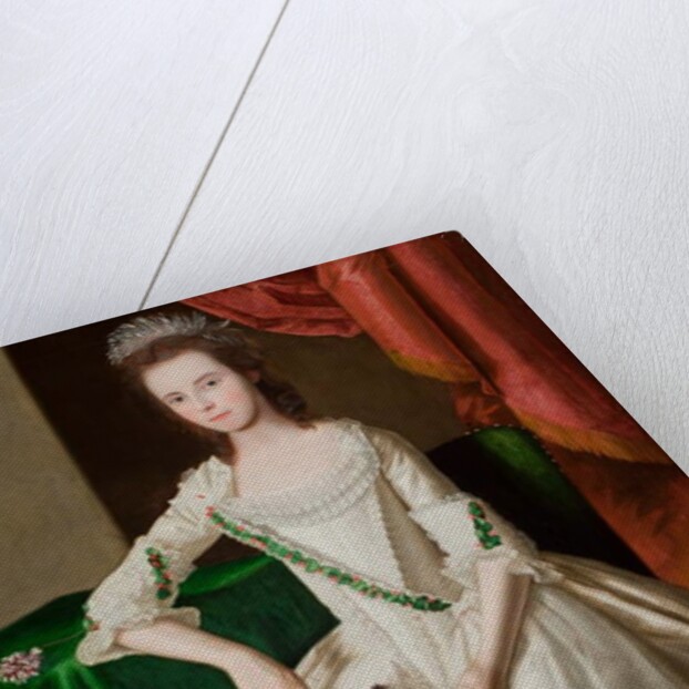 Portrait of Mary Ann Carpenter Mrs Thomas Forster, 1779 by Ralph Earl