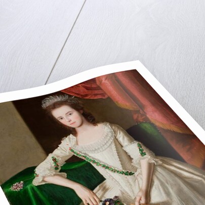 Portrait of Mary Ann Carpenter Mrs Thomas Forster, 1779 by Ralph Earl