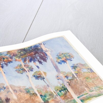 Palms, 1917 by John Singer Sargent