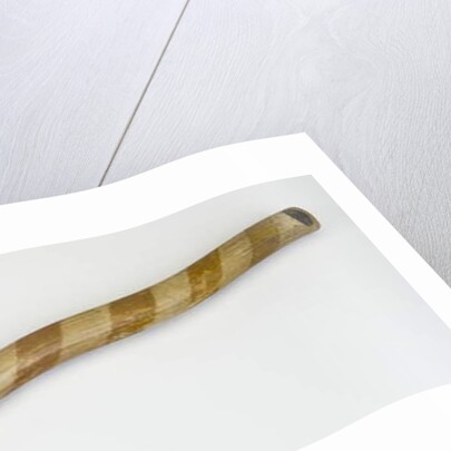 Baton for the 'Giuoco del Ponte' by Italian School