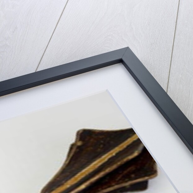 Ceremonial Mace, probably for the 'Giuco del Ponte' by Italian School