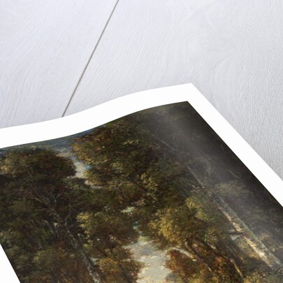 Village Road c.1830-60 by Constant-Emile Troyon