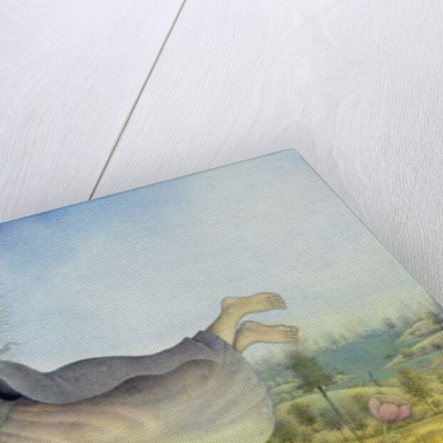 Flying Fairy Over Landscape by Wayne Anderson