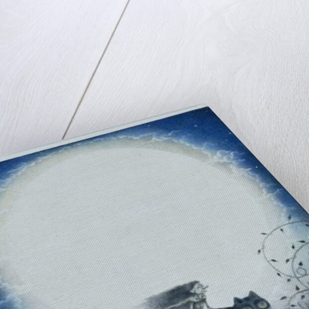 Scottish Witch on a Black Cat by Wayne Anderson