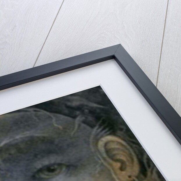 Threatening Humpty Dumpty and Fairy. 'If you go down to the woods today...' by Wayne Anderson