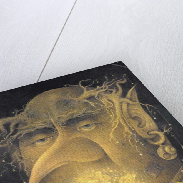 Fairy Juggler by Wayne Anderson