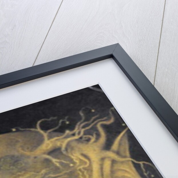 Fairy Juggler by Wayne Anderson