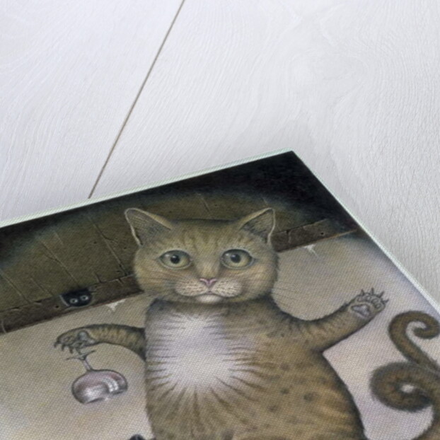 Puss in Boots doing a Somersault by Wayne Anderson