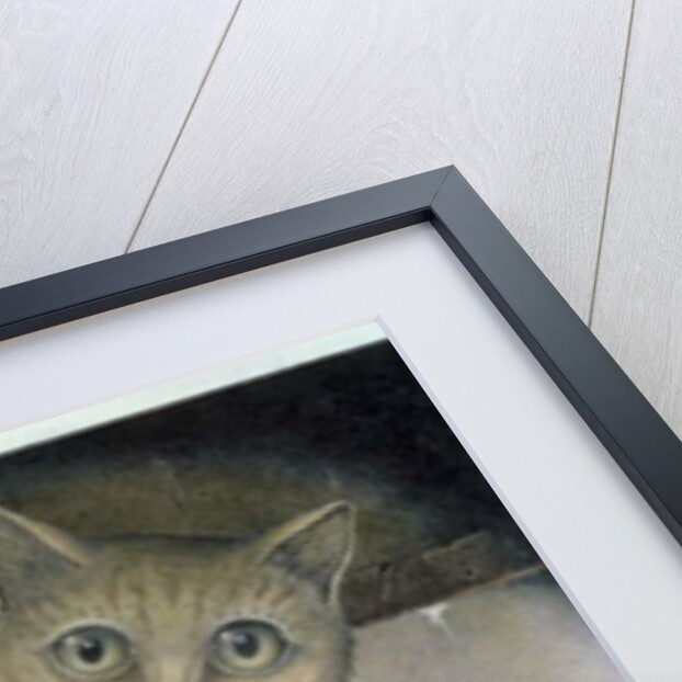 Puss in Boots doing a Somersault by Wayne Anderson