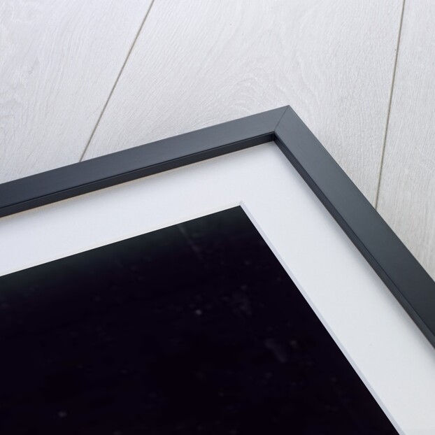 Night Out by Wayne Anderson