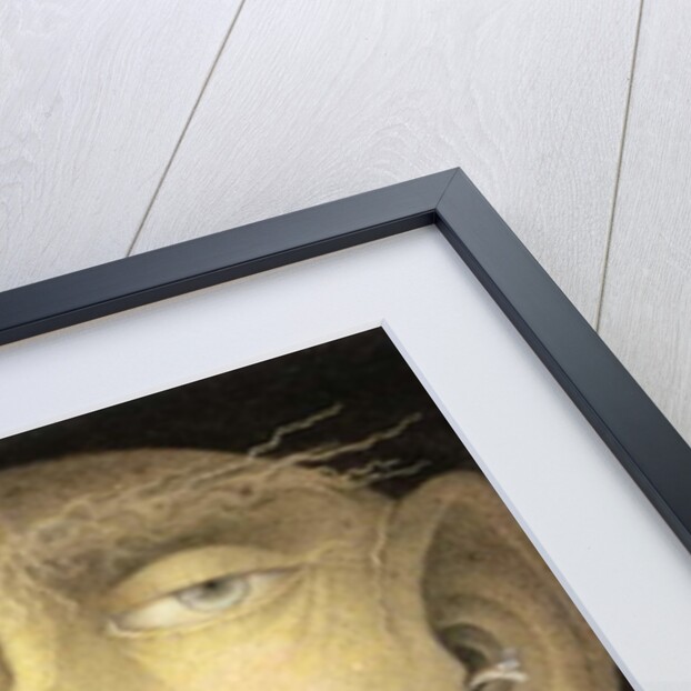 Catch a Falling Star by Wayne Anderson