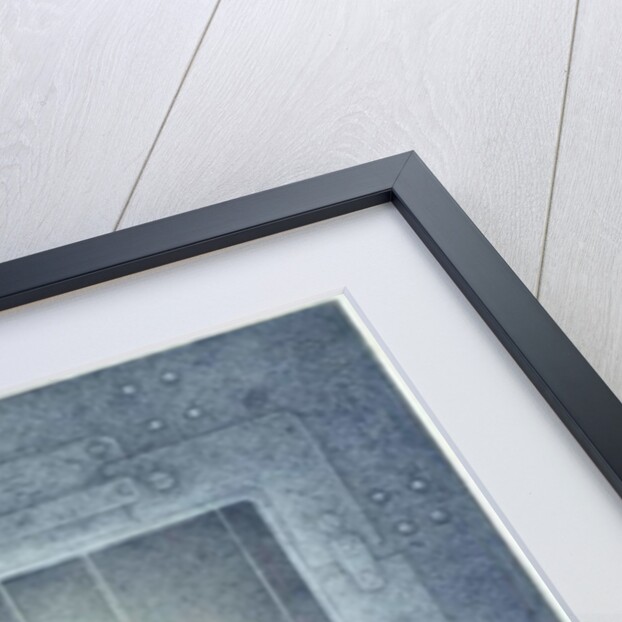 The Fairy Catcher, 2005 by Wayne Anderson