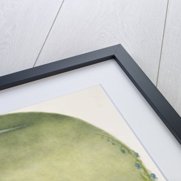 Ready Steady Go, 1979 by Wayne Anderson