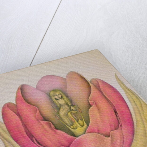The Tulip Burst Open With a Pop, 1991 by Wayne Anderson