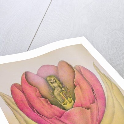 The Tulip Burst Open With a Pop, 1991 by Wayne Anderson