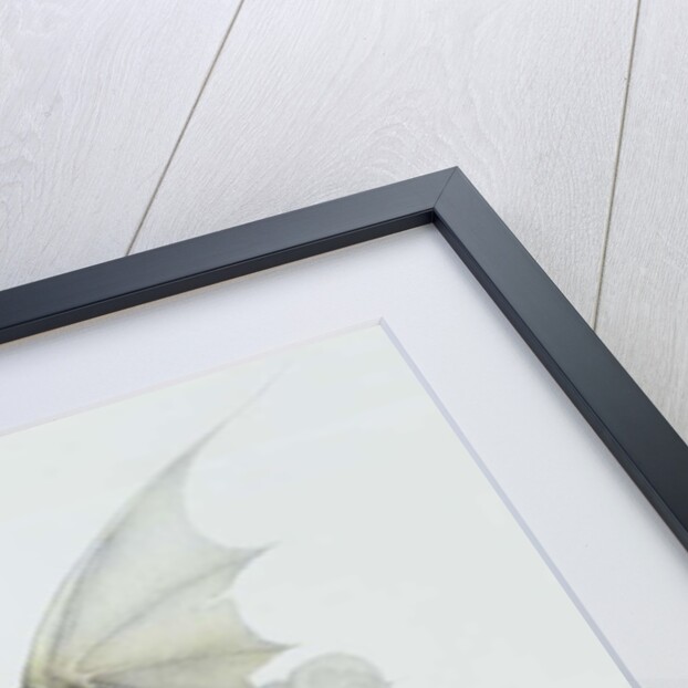 A Dragon that is Cloudlike, 1979 by Wayne Anderson