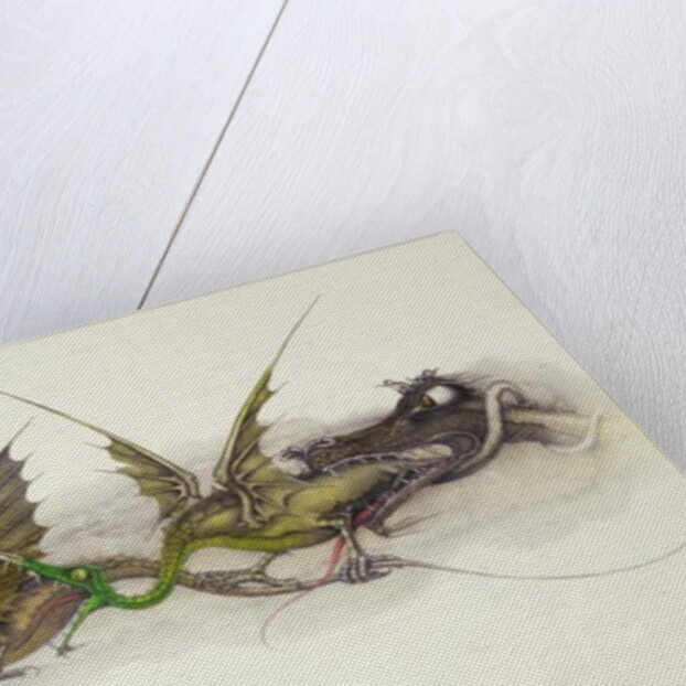 Big Dragons Eat Little Dragons, 1979 by Wayne Anderson