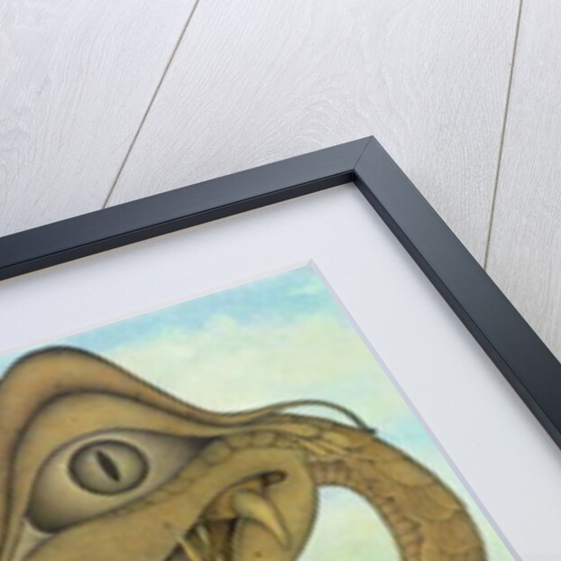 Creation of a Dragon, 1983 by Wayne Anderson