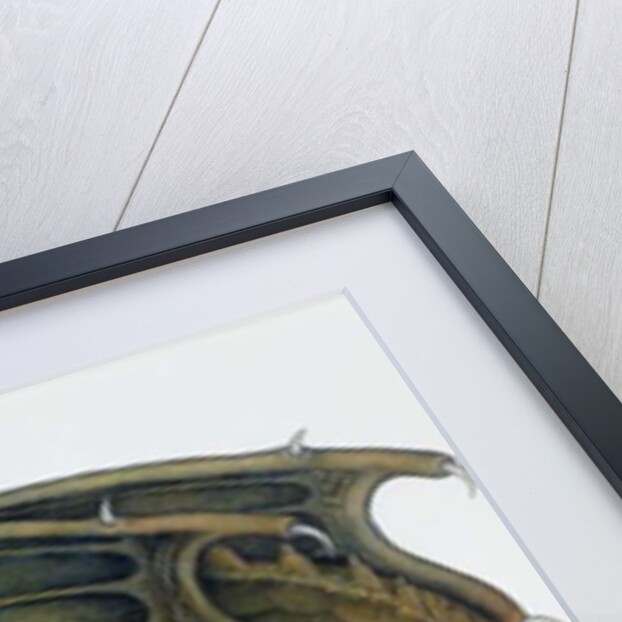 Virgin Sacrifice, 1979 by Wayne Anderson