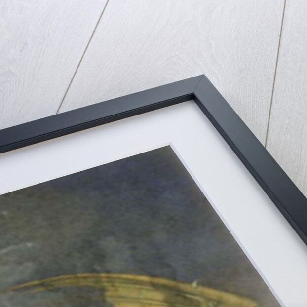 Fighting Dragons, 1979 by Wayne Anderson