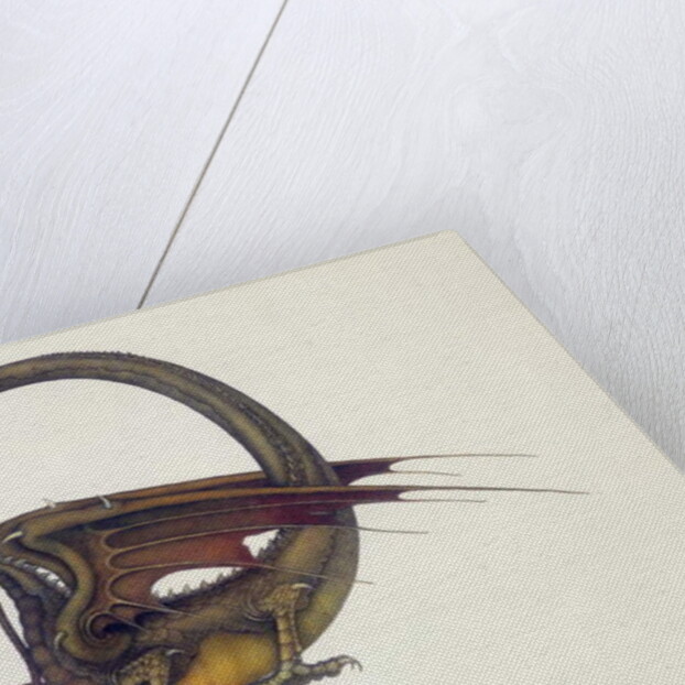 D is for Dragon, 1979 by Wayne Anderson