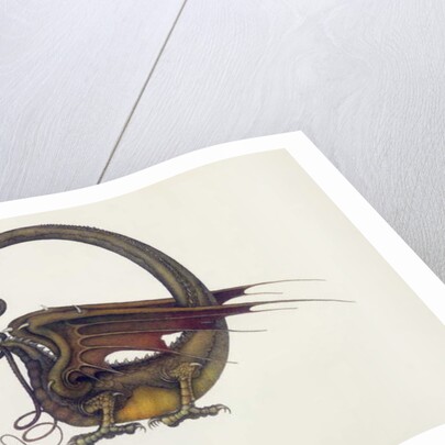 D is for Dragon, 1979 by Wayne Anderson