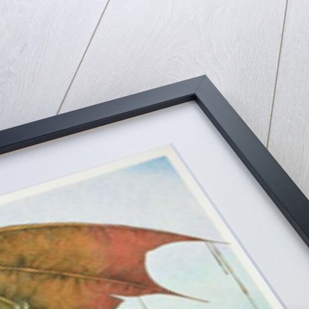 St George and the Dragon, 1979 by Wayne Anderson