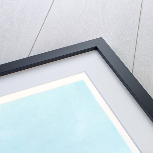 The Snake King, 1982 by Wayne Anderson